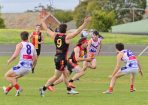 footy_431826_07.jpg