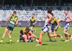 footy_433874_17.jpg