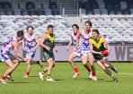 footy_433874_18.jpg