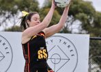 netball_422866_21.jpg