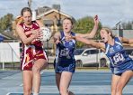 netball_430339_03.jpg