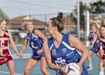 netball_430339_05.jpg