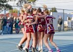 netball_430339_14.jpg