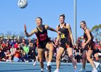 netball_433878_10.jpg