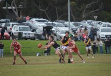 Gun mid wins Ash Medal