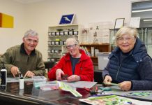 A looking glass into the lizard world