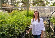 Grants open to help young people thrive