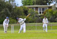Walter drives Cobras to win