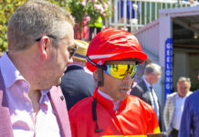 Williams wins sixth Cup