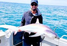 Inner harbour still going strong