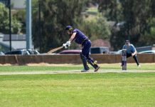Cricket action heats up