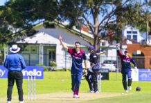 Pies, Wallabies take the points