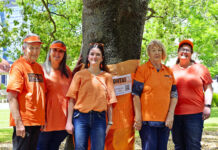Johnstone Park goes orange