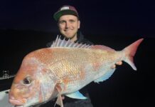 Snapper fishing bonanza