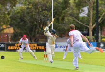 Early wickets the key for Hawks