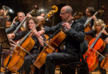 MSO spreading Christmas joy