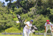 Melzer stars with unbeaten ton