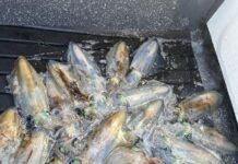 School’s out, fishing in