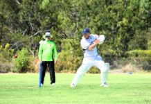 Anglesea still favourites