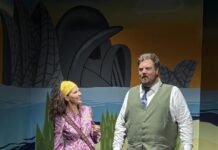 Courtroom comedy a tale of the Aussie battler