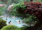 VikHotSpa_459483_01-2