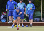 bowls_454880_02
