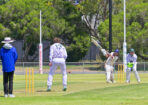cricket_459709_01-1