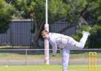 cricket_459709_02