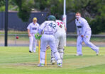 cricket_459709_04-1