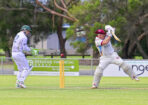 cricket_459709_07