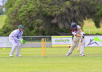 cricket_459709_08