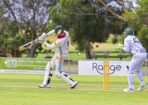 cricket_459709_09