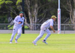 cricket_459709_11-1