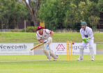 cricket_459709_15-1