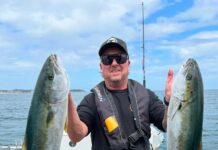 Flathead the standout in the bay