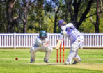 gcacrick_460899_05
