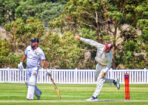 gcacrick_460899_11