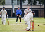 gcacricket_454874_02-1