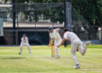 gcacricket_454874_06-1