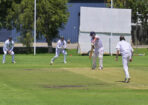 gcacricket_454881_02-1