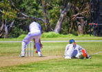 gcacricket_460896_01