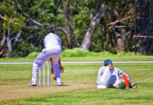 Scorcher greets Geelong cricketers