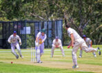 gcacricket_460896_09