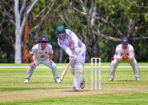 gcacricket_460896_10