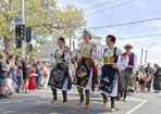 pakofesta_460441_09