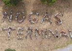 protest_461183_12