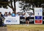 vicopen_454876_13