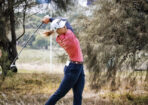 vicopen_454876_17