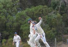 Titans and Gulls face off