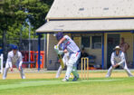 bpcacrick_463981_11